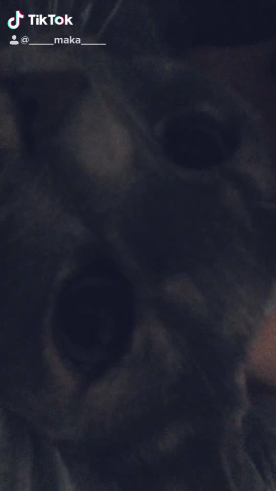@_ᕼI_ᕼI_