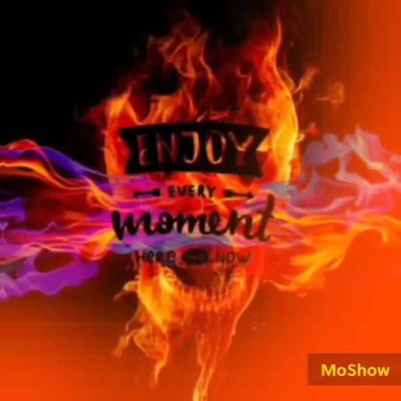 @Łűñą Čhăń🔥🦊