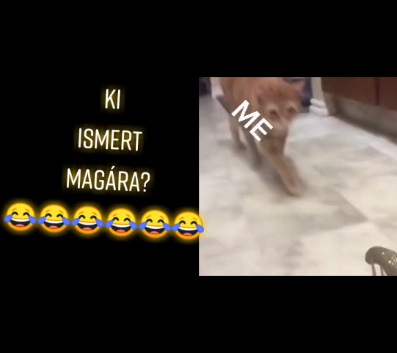 @😺 Ferenczi Sàra ✌️