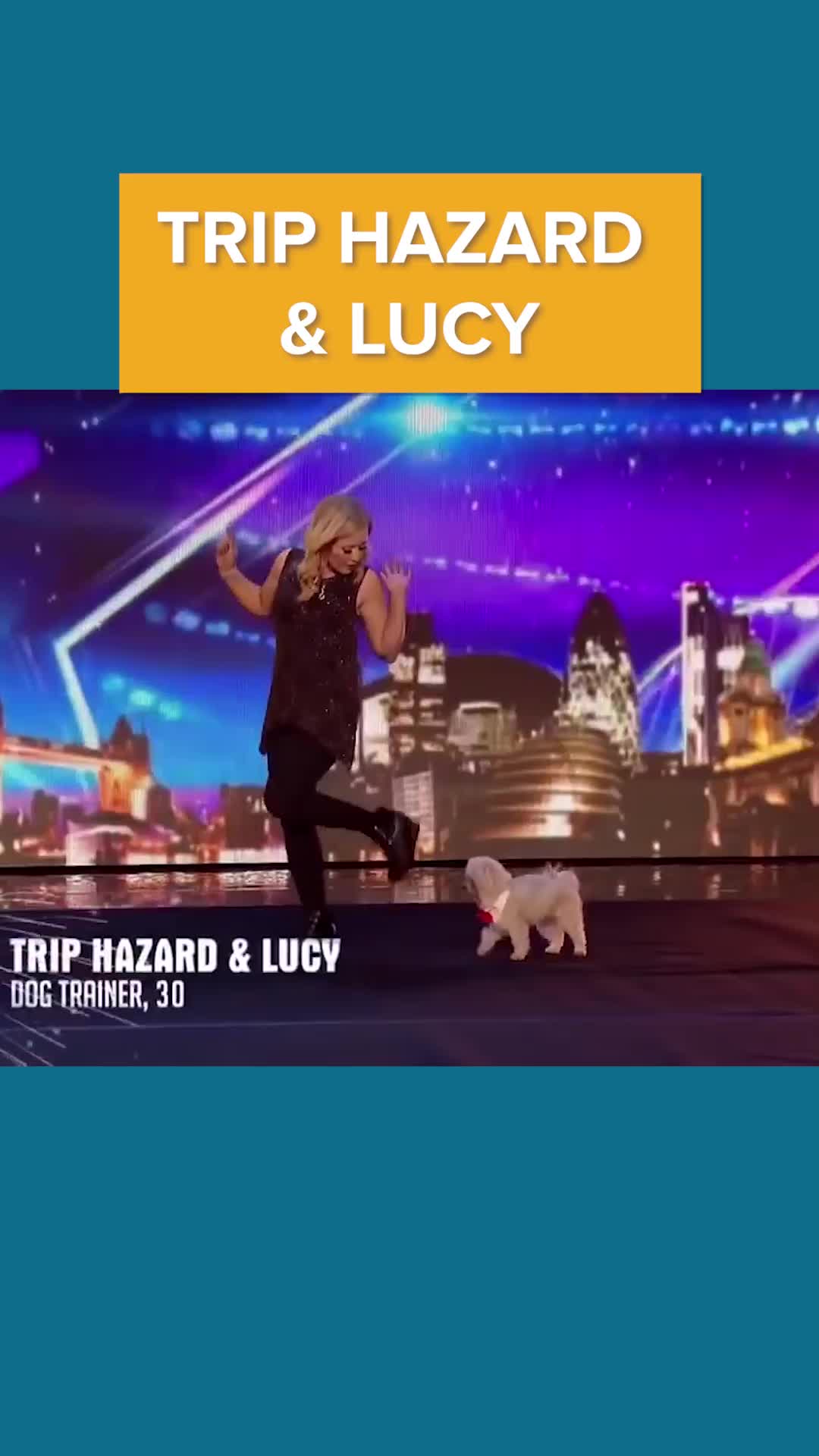 @MOST TALENTED ANIMALS