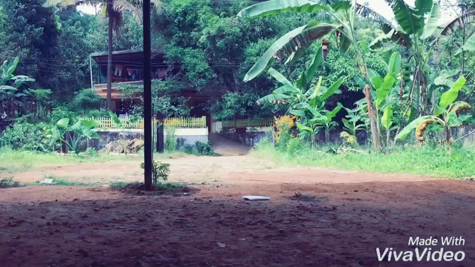 @naveenedaparambil