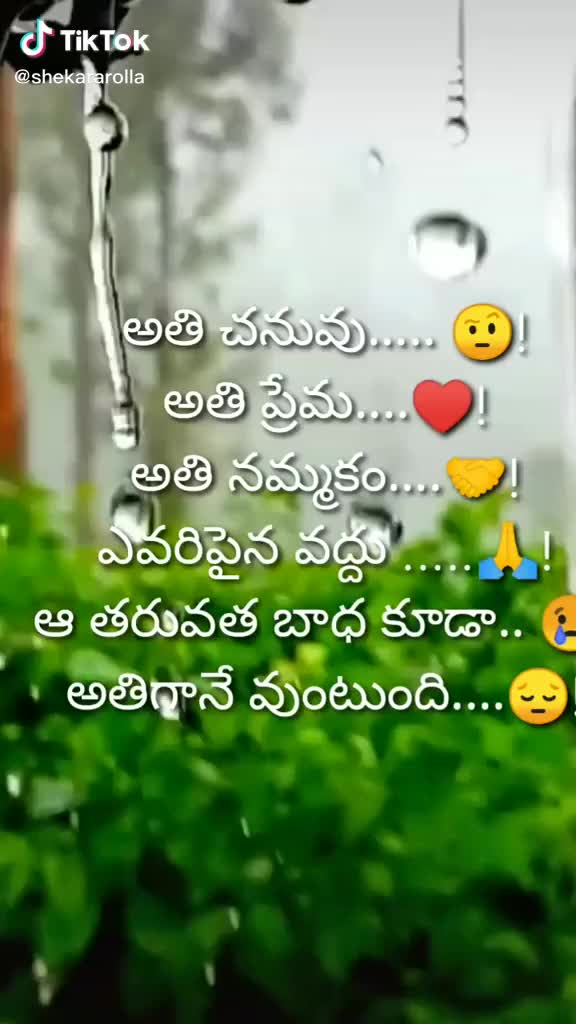 @shouryaraj