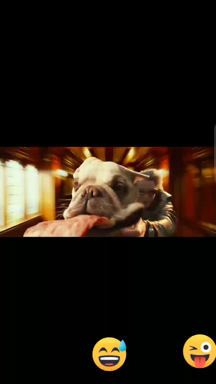 @user869744232222