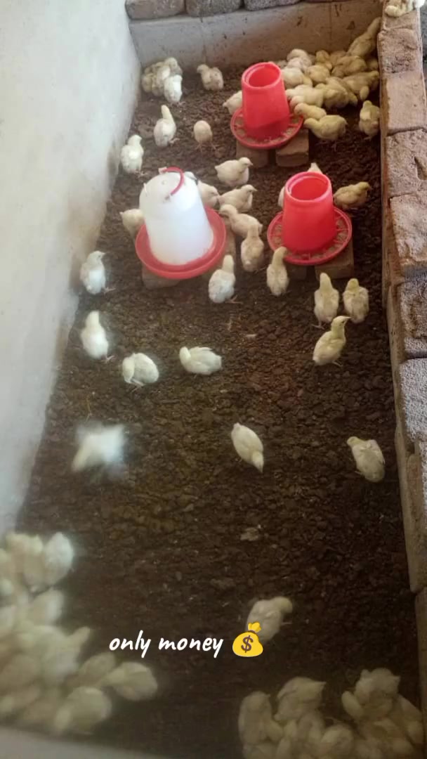 @STANDING POWER ๐ช