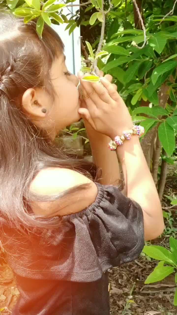 @Jyotirajale