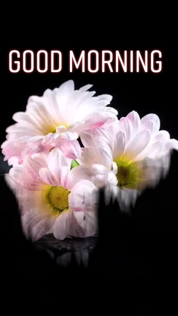 @vickykarnawalsaab7