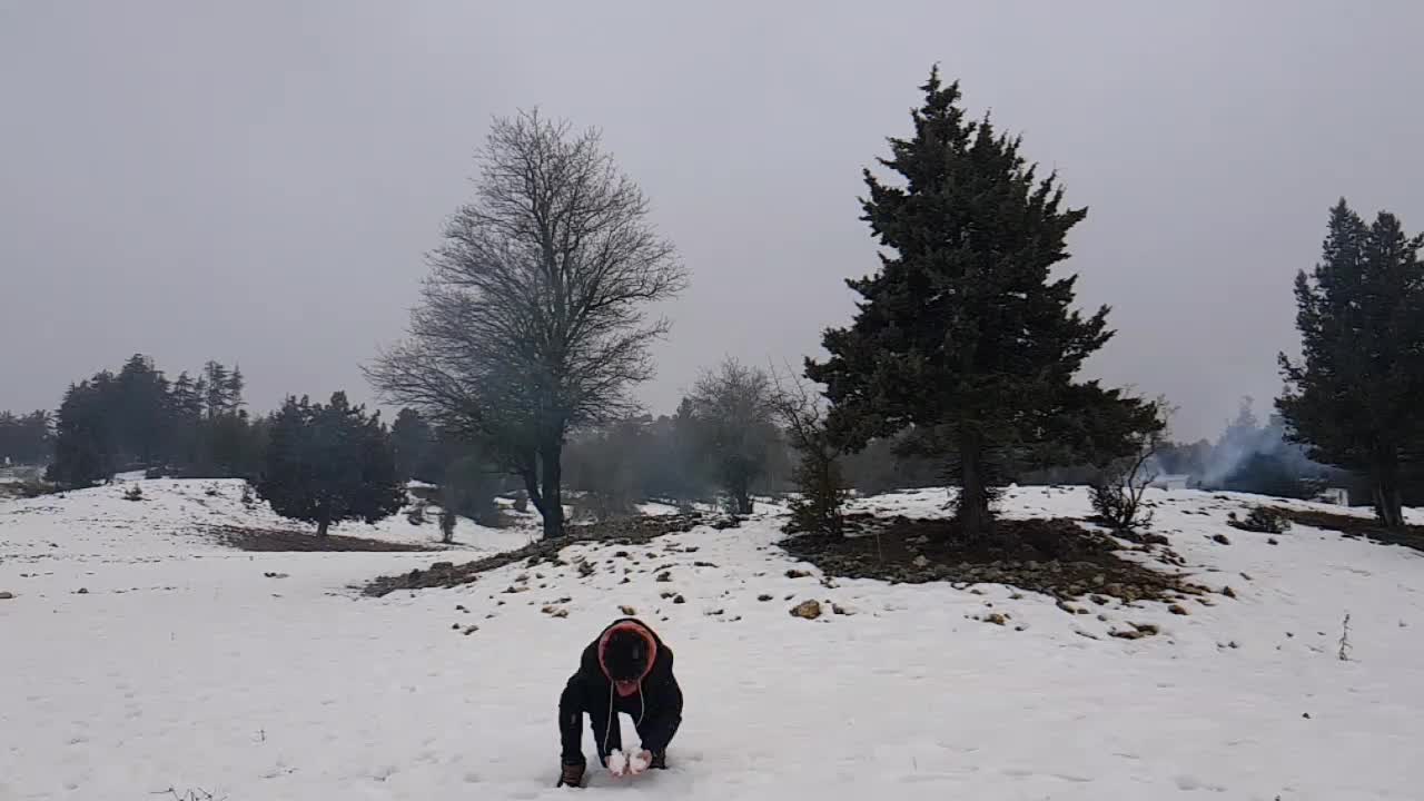 @cengizcanvar