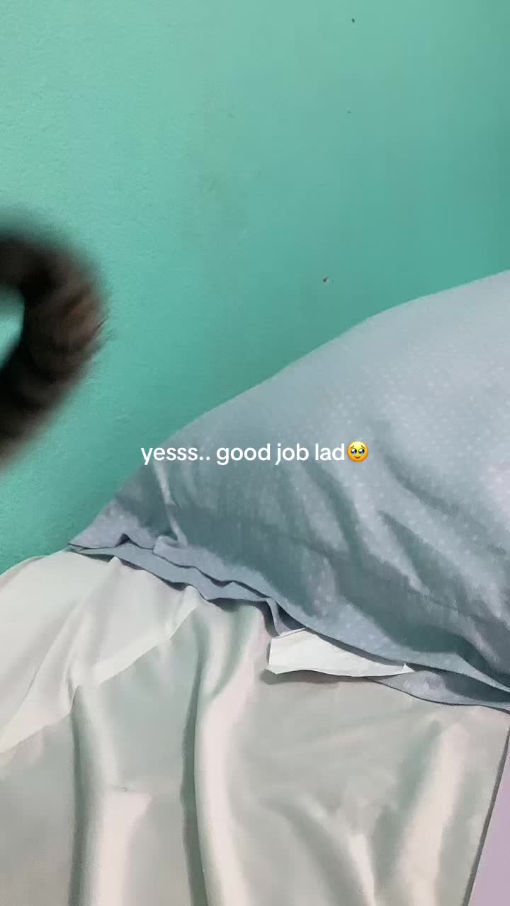 @deftones_lover0