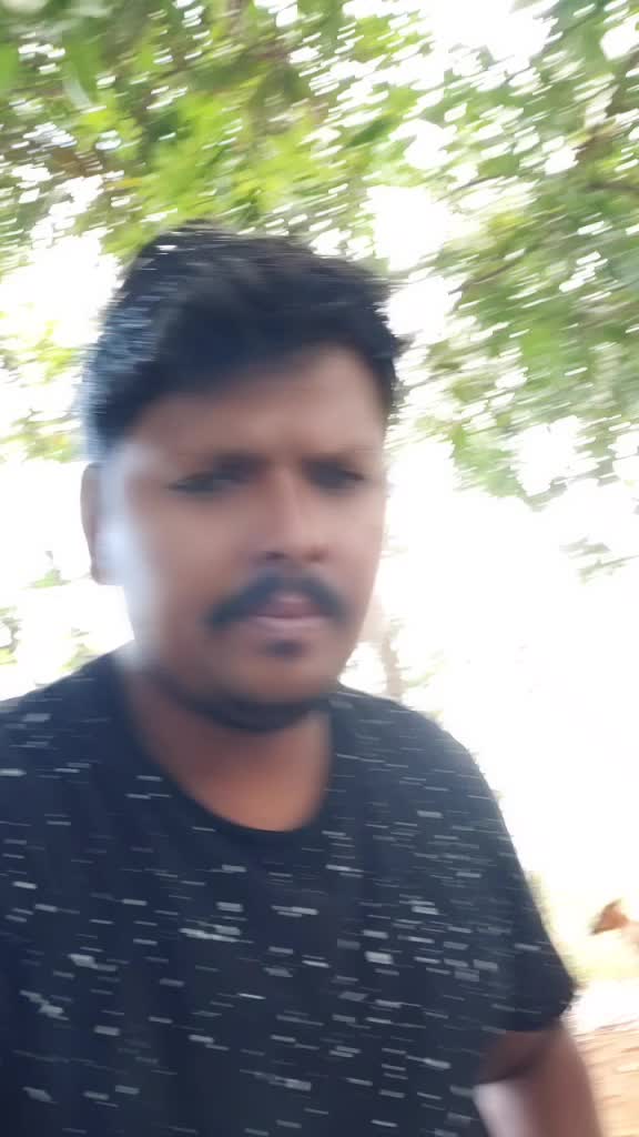 @user8504071479393