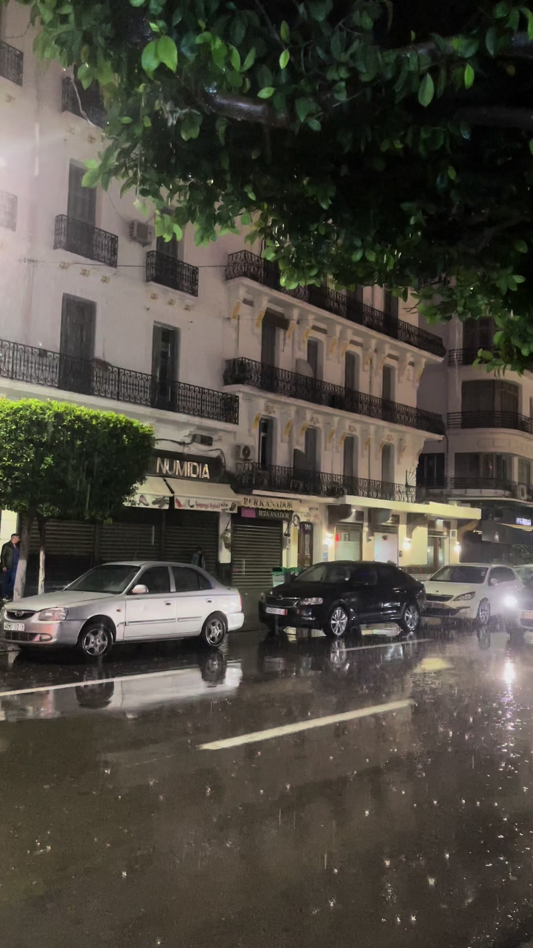 @عباس 🇩🇿