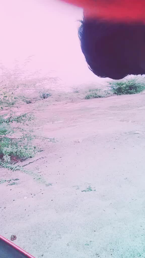 @Bunny Akhil.