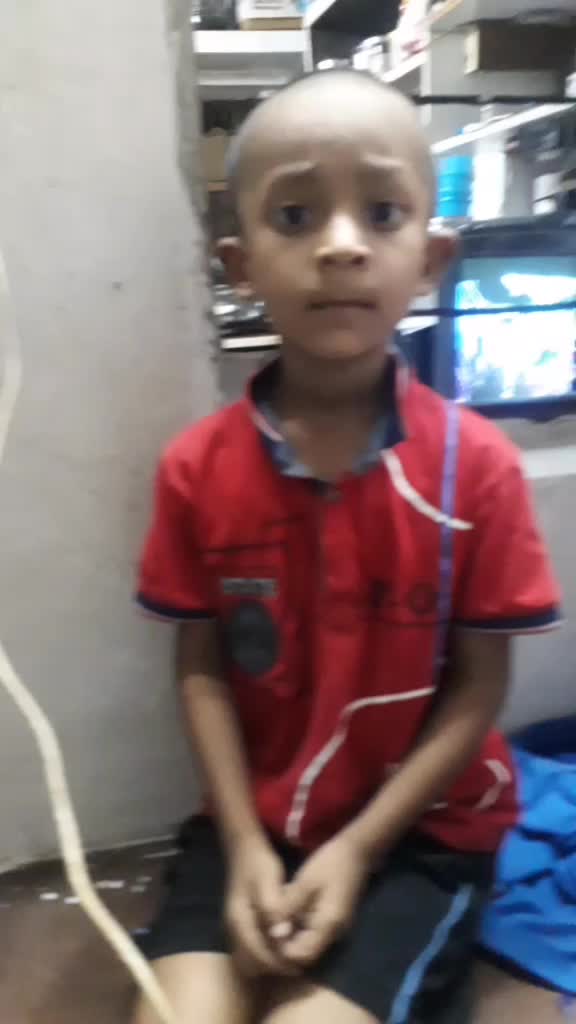 @animesh king model