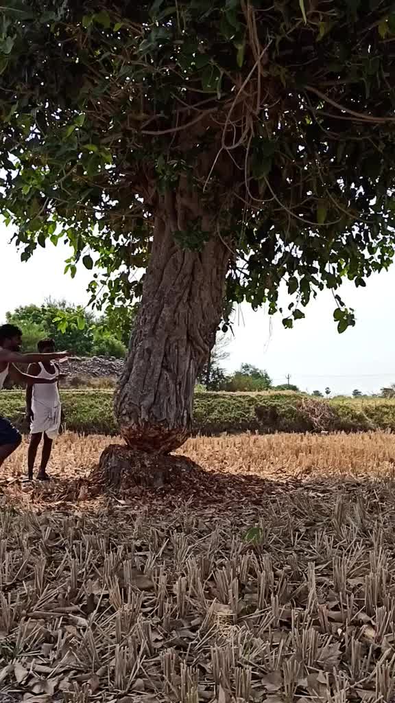 @SambarajuYadav