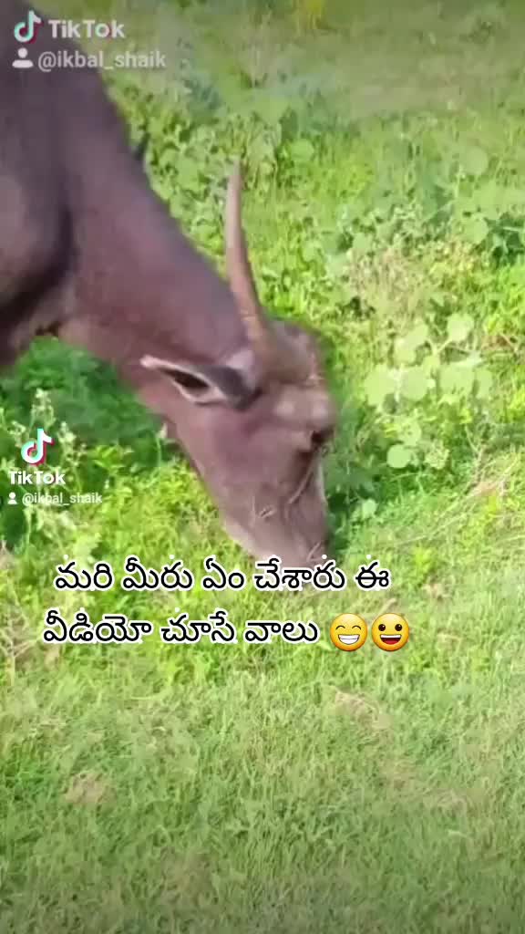 @user3322080759438
