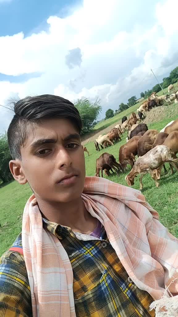 @rajutadichettu@gmail