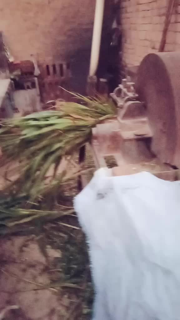 @ਤਾਰਾ ਸਿੱਧੂ