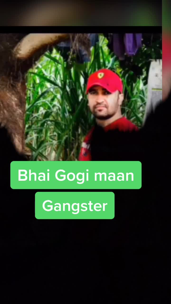 @user7867461205524