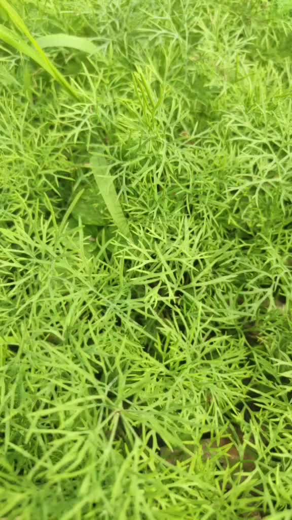 @@Shiva Mudale 6622