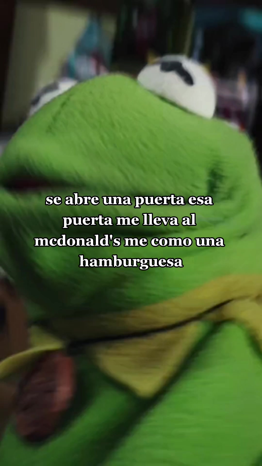 @RanitaAlva🐸