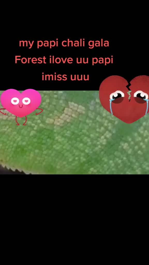 @user14153213730