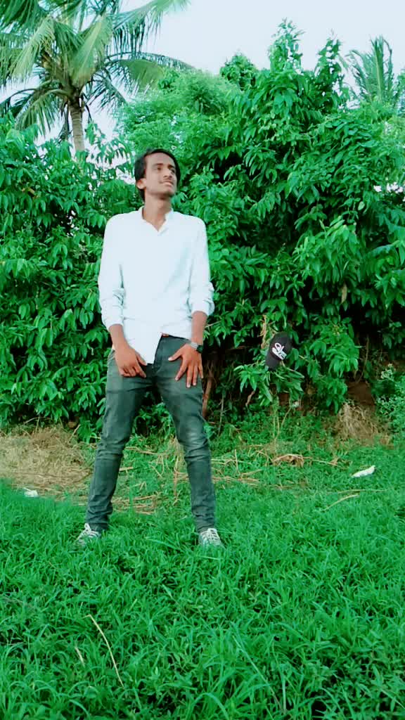 @love bird
