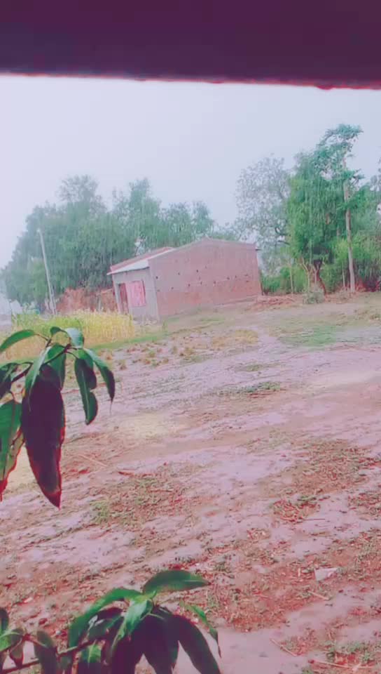 @user61003089837