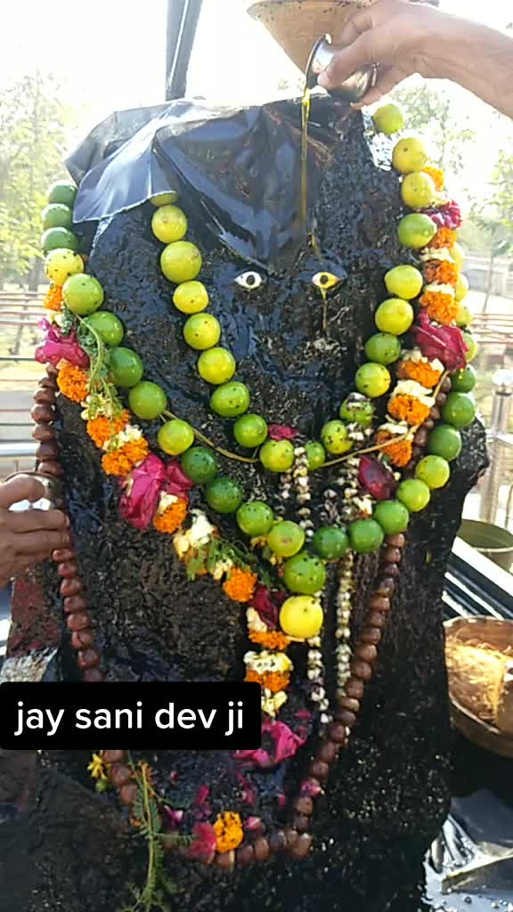 @13_vivek
