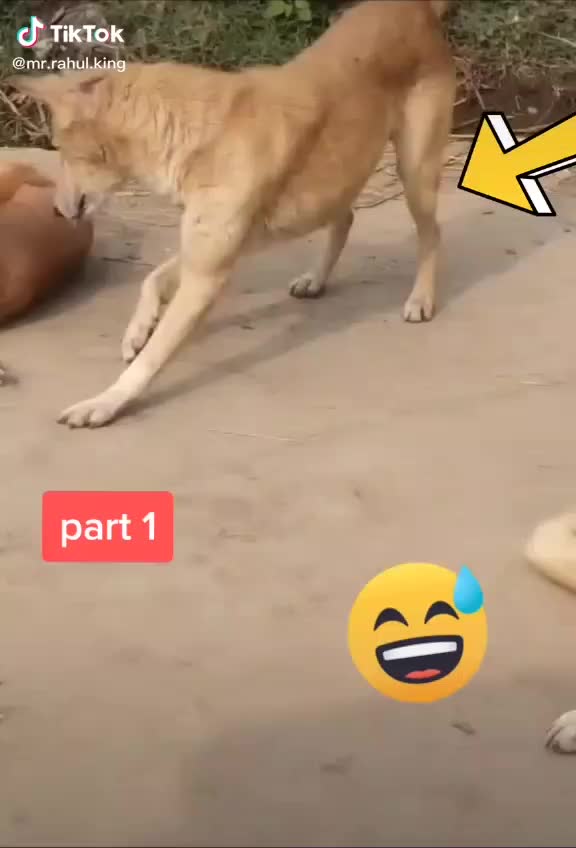 @Suvartha Raju