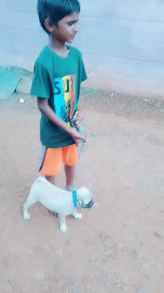@Subashini Selvaraj