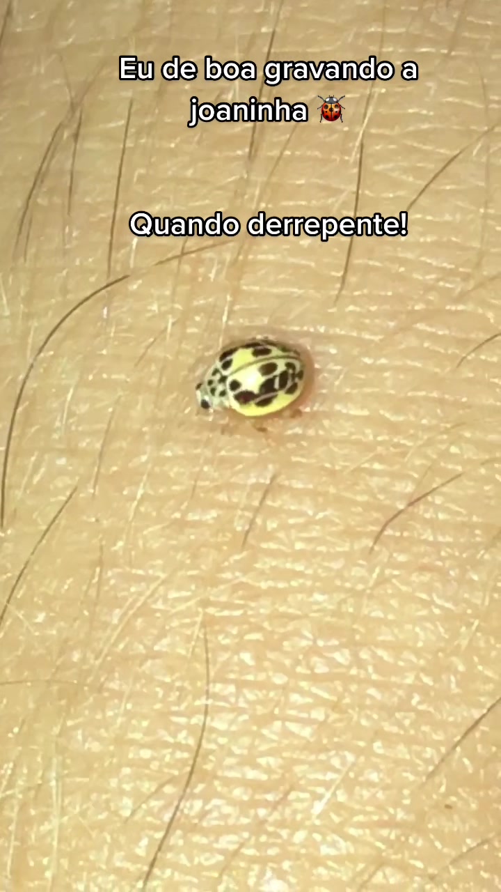 @Roberta Caroline