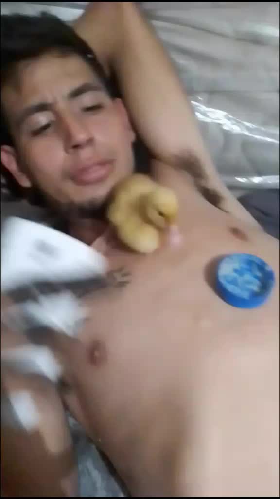 @user6739870561409