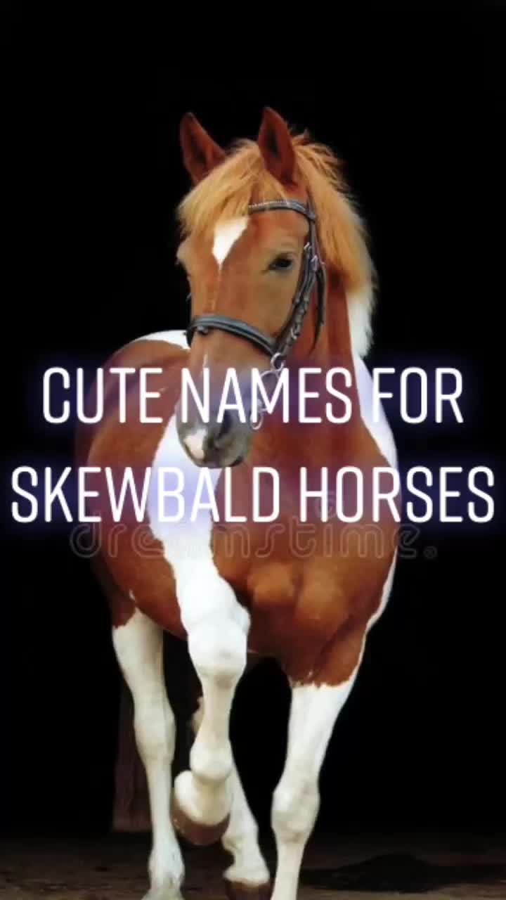 @Horse Editz!