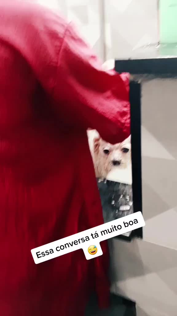 @groomerpaulafernandes