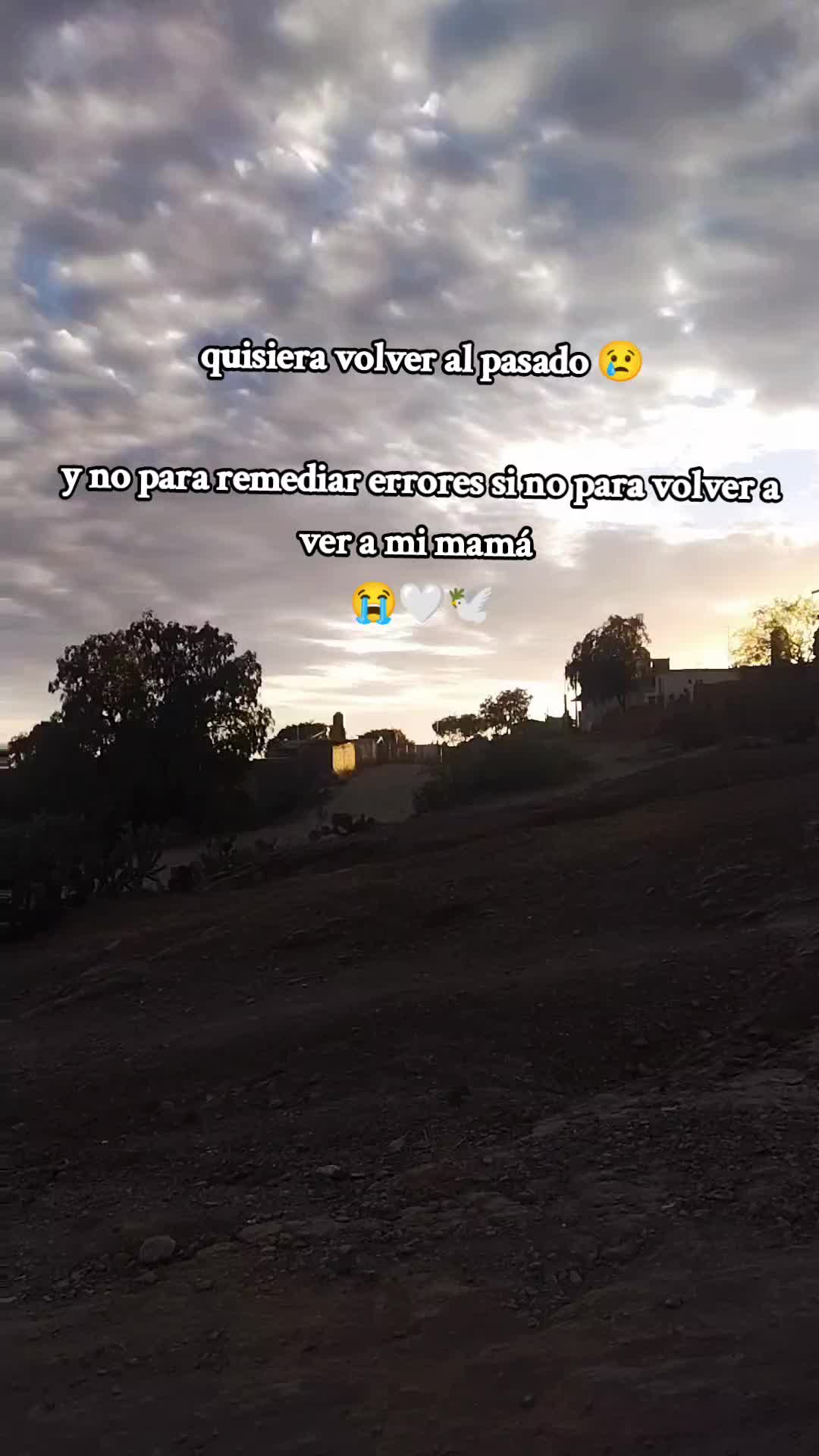 @Dbmts