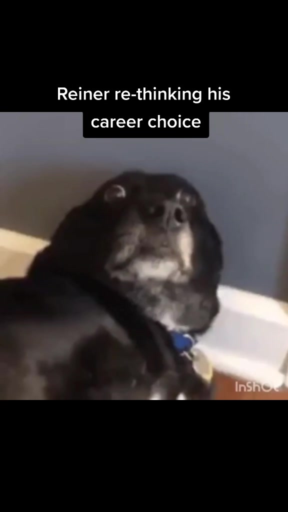 @Rika