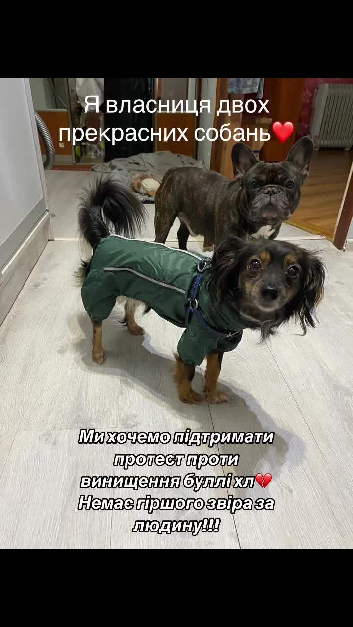 @Veronika_Prokhorova
