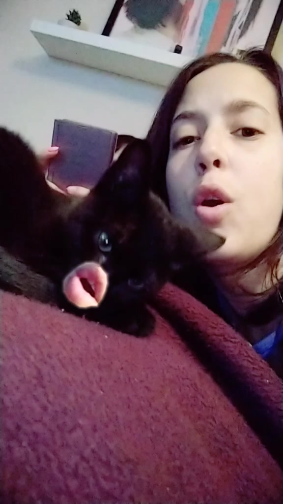 @Mónica Alcedo Majo