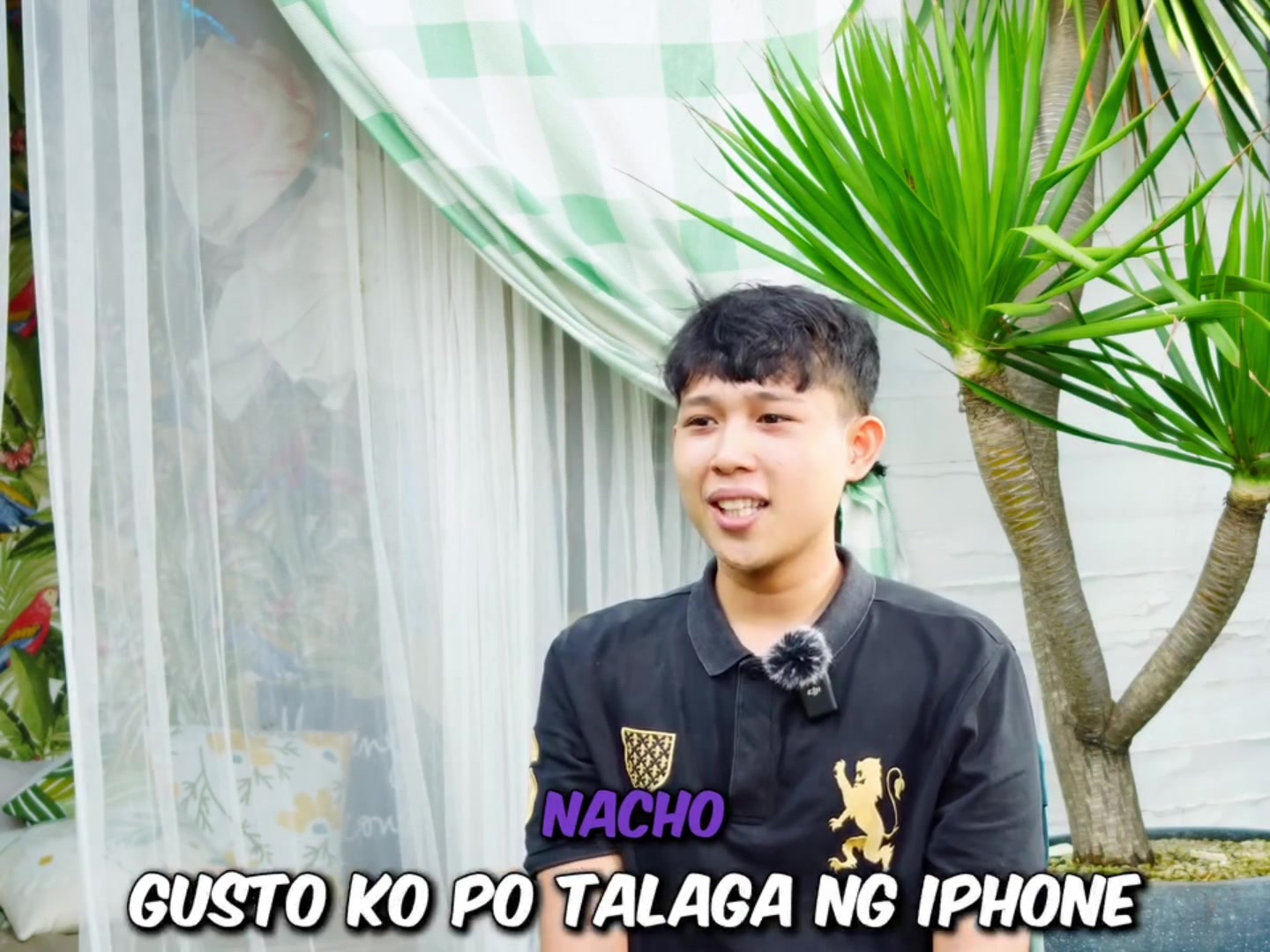 @SHRX &bull; N4cho