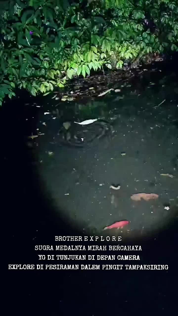 @BROTHER E X P L O R E