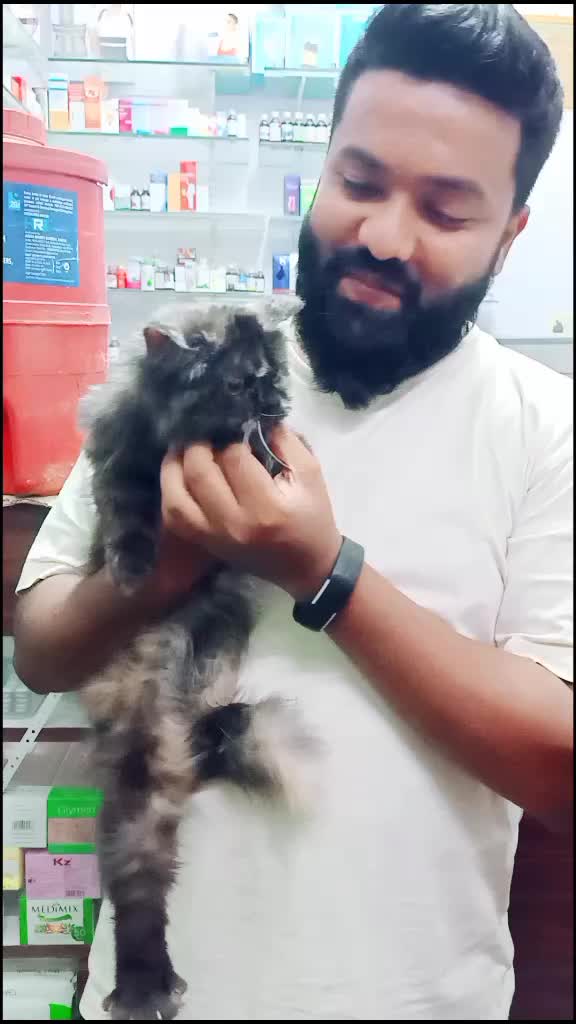 @Kaleem Laddu