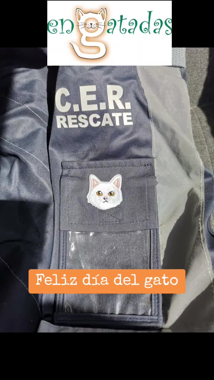 @enGatadas