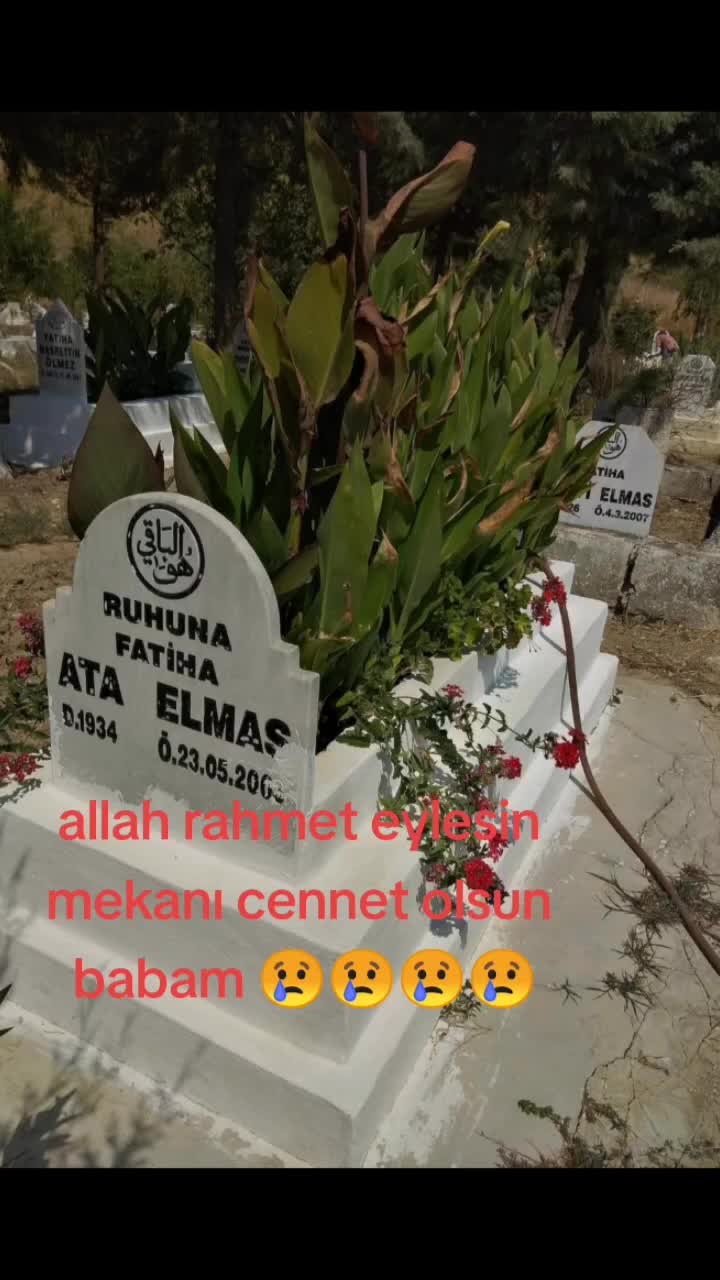@HATAYLI.HALİT🇹🇷🇹🇷🇹🇷🇹🇷
