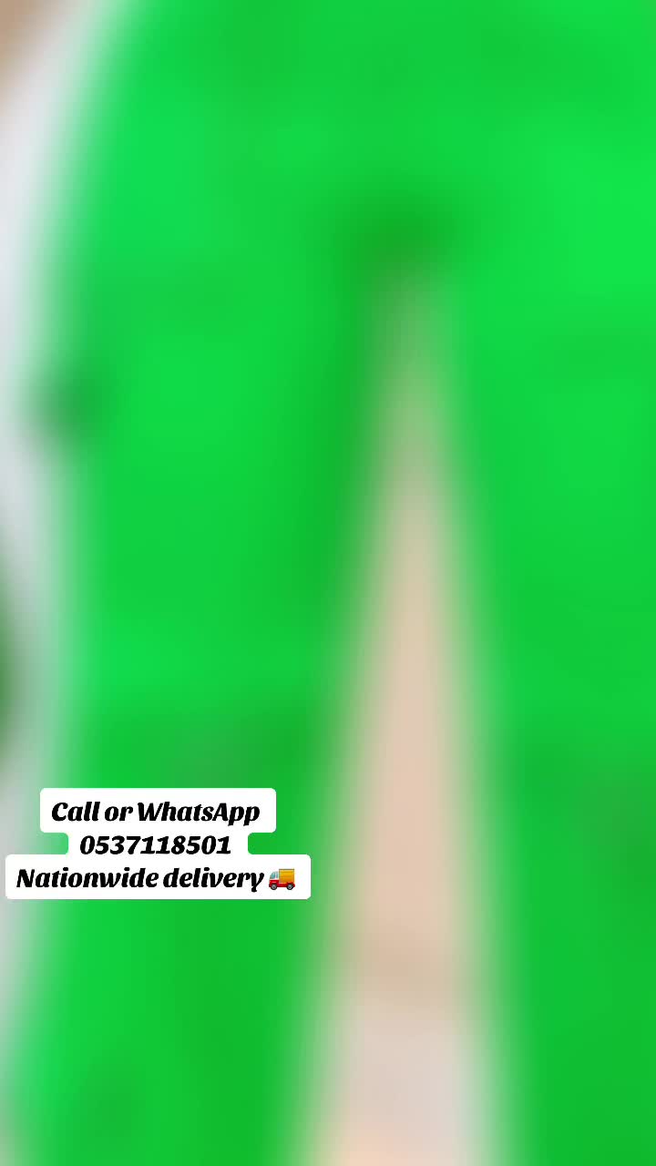 @Spicys Girls Collection