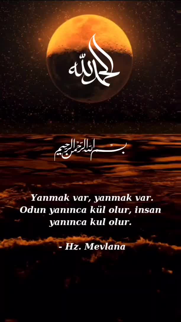 @LAZ UŞAĞI