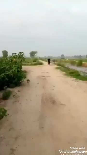 @کبڈی ما ری جان
