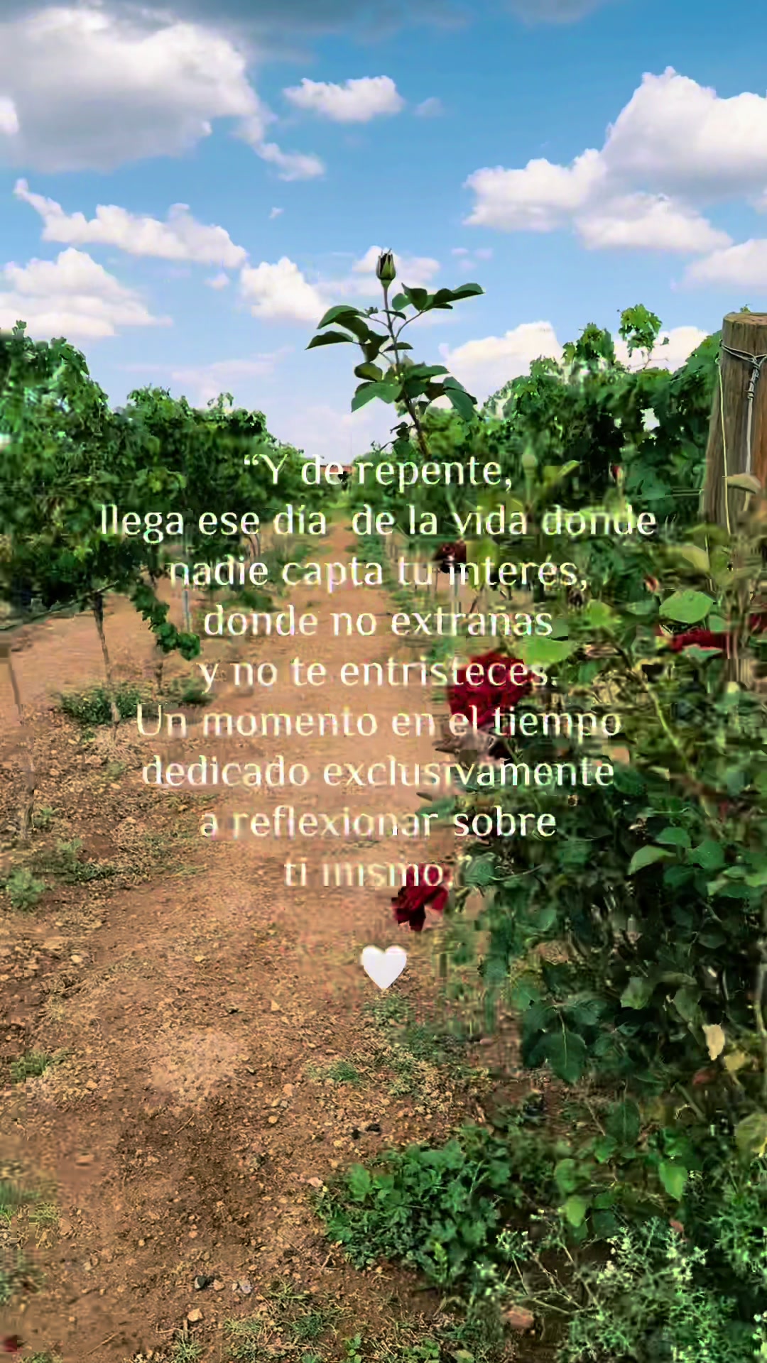 @rodrigovallado