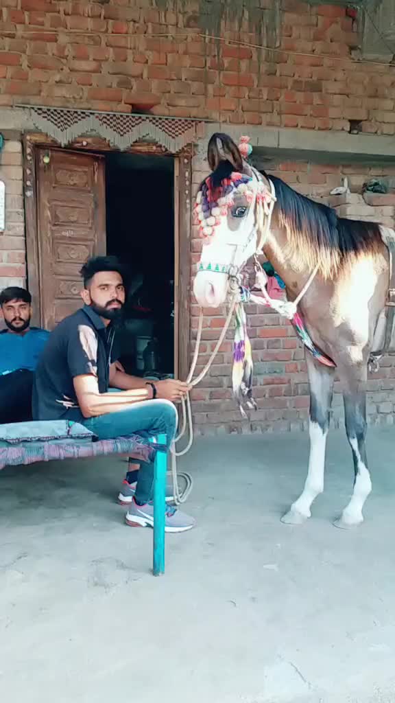 @Ahir Alpesh