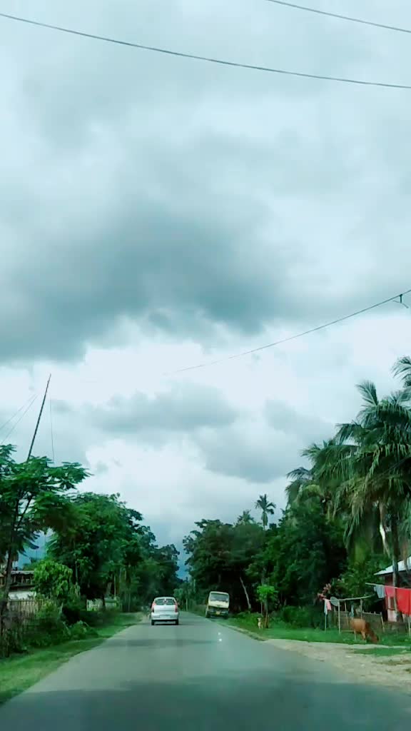 @❤মাইনা❤