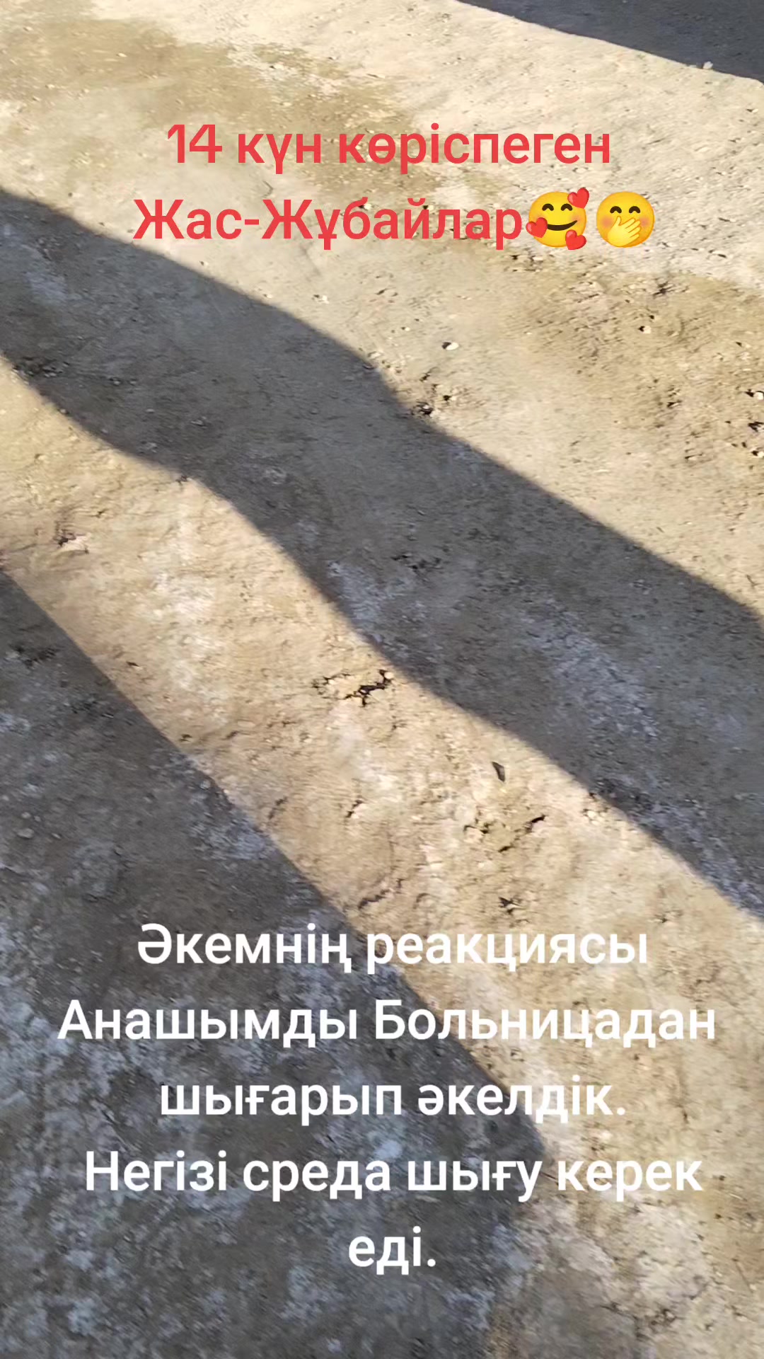@MontiShoG