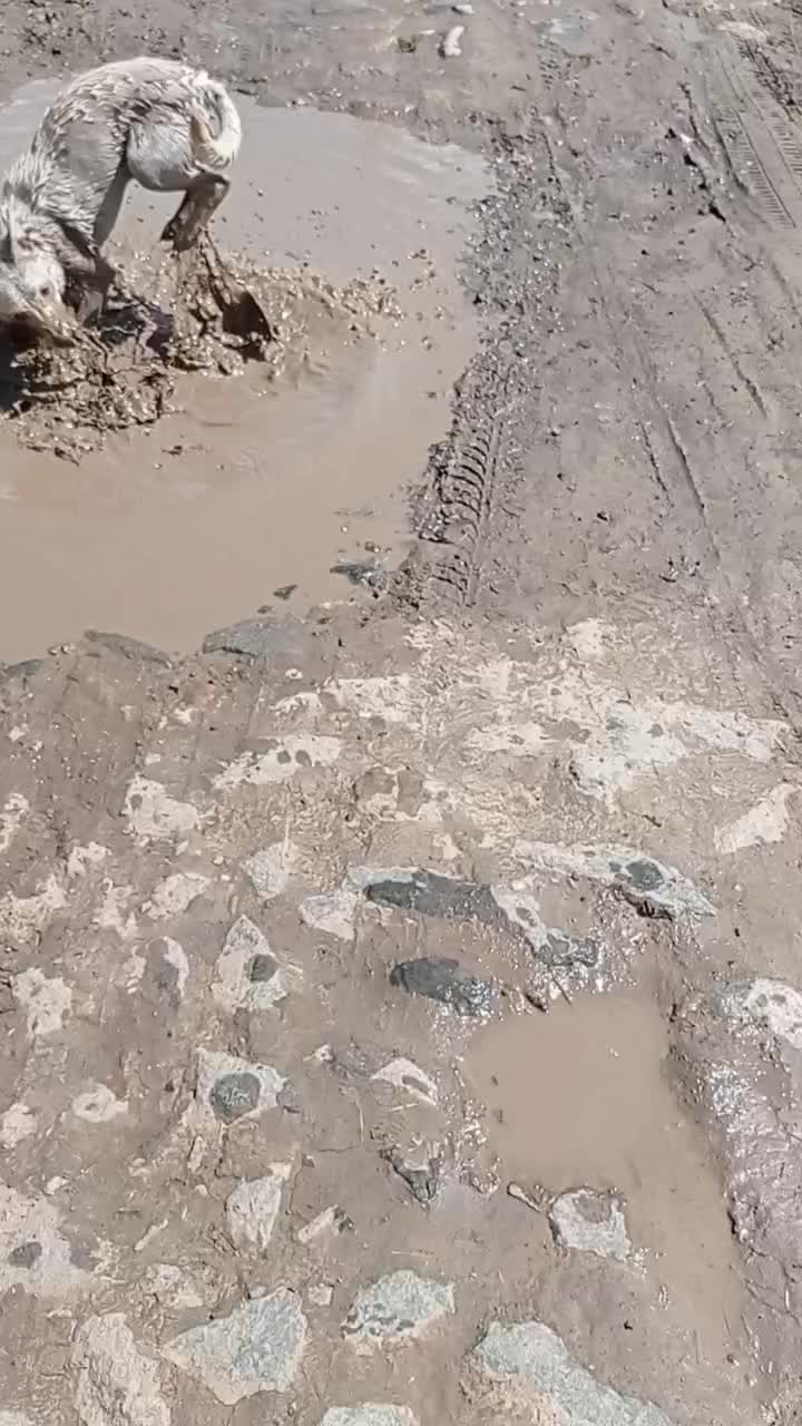 @Алла